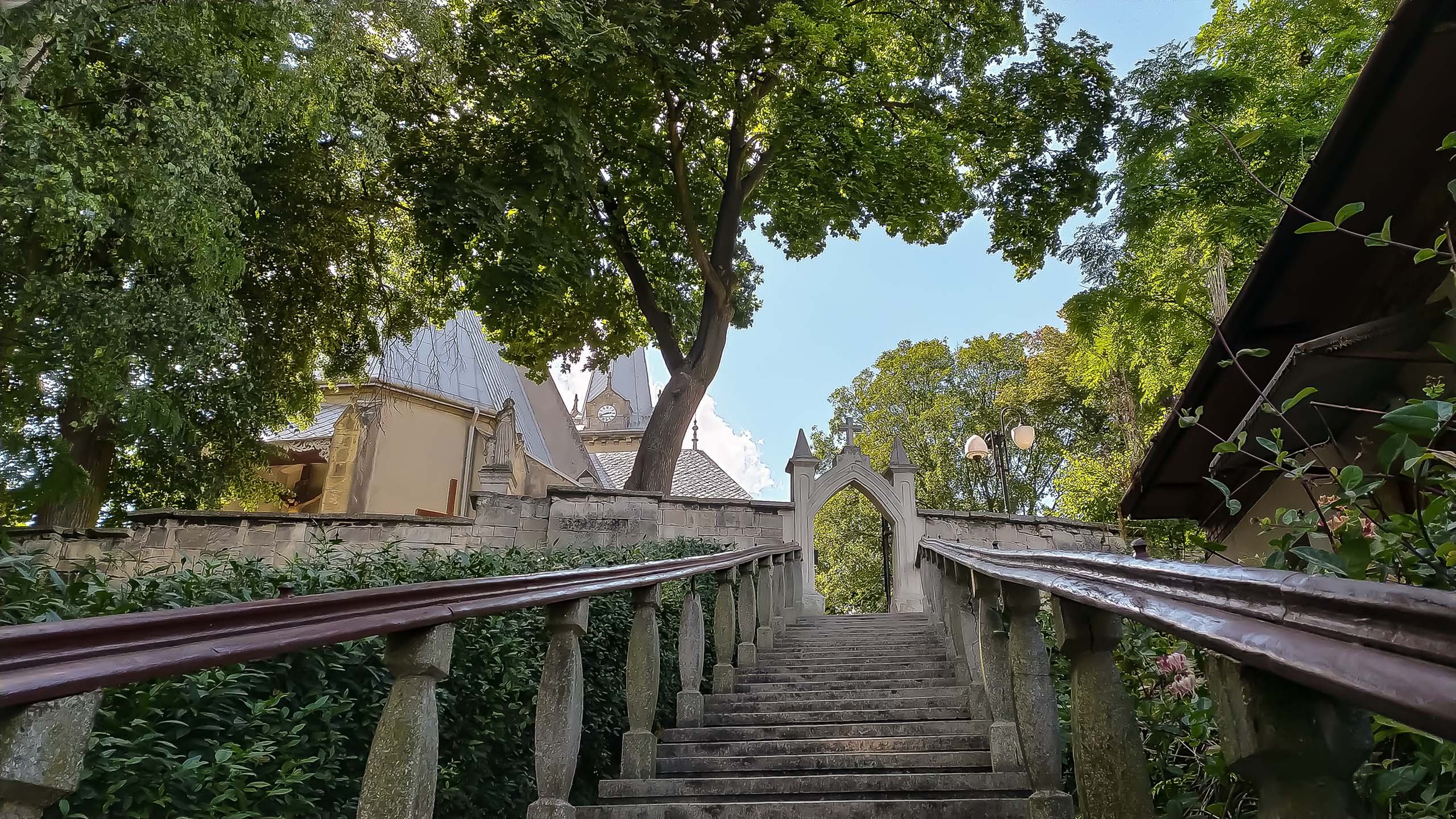 IMG 20200801 144232 kopia